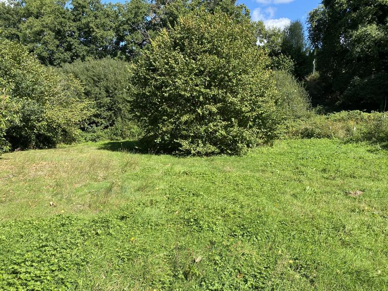 Maison ancienne - 82 m² - 4 pièces