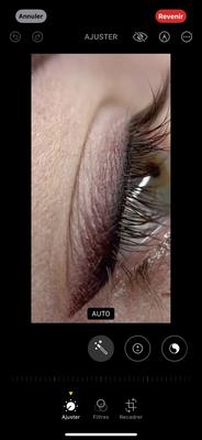 Maquillage permanent corinne Ego