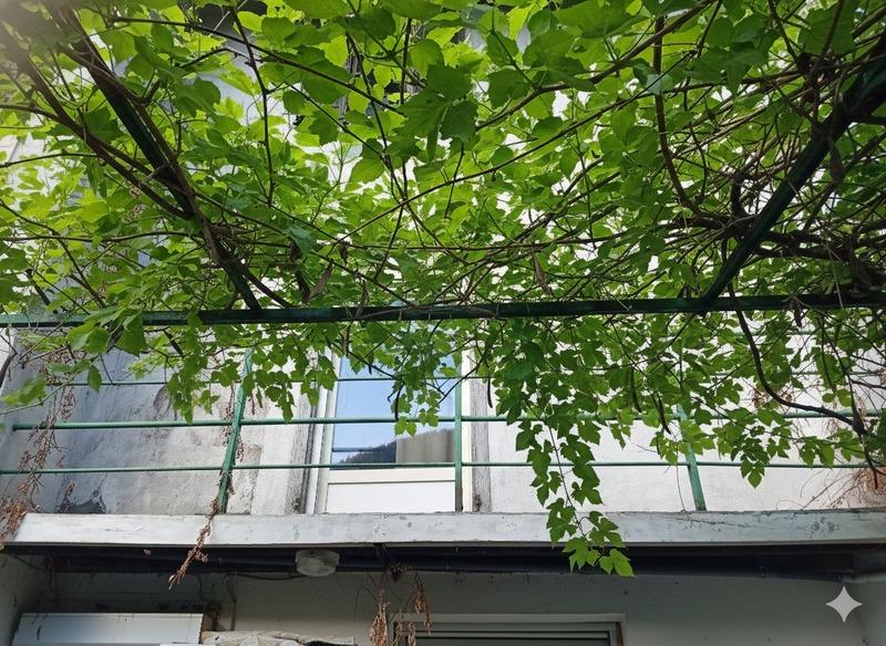 Maison - 120 m² - 7 pièces