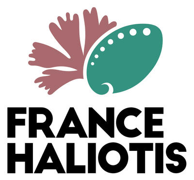 France haliotis
