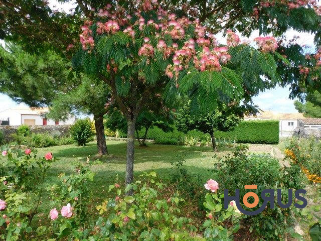 Viager - Maison - 110 m² - 3 pièces