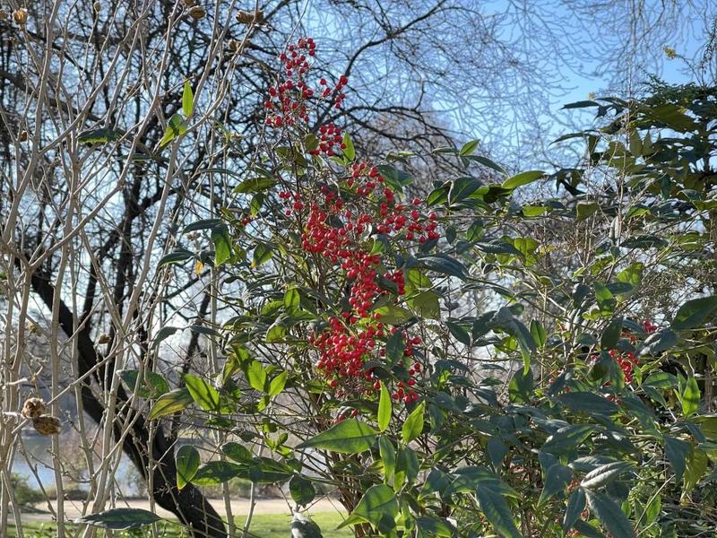 Appartement - 96 m² - 4 pièces