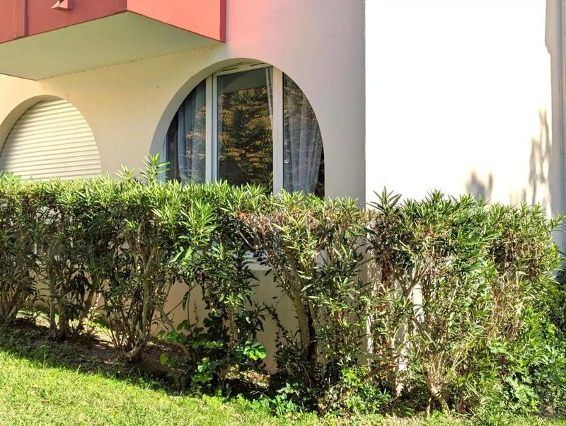 Studio - 16 m² - 1 pièce