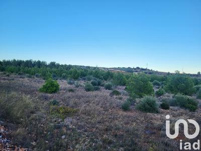 Terrain agricole - 21 840 m²