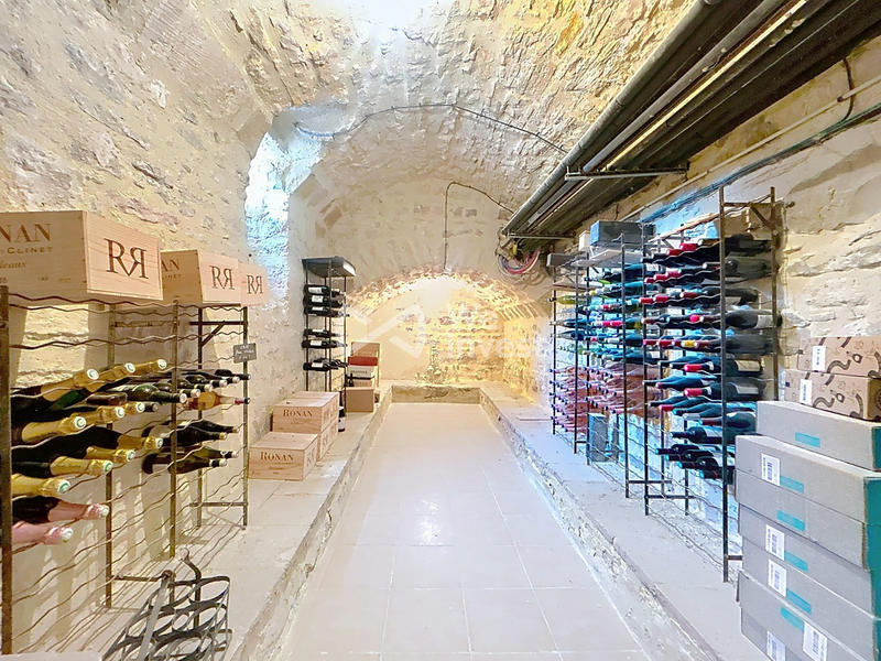 Maison - 484 m² - 16 pièces