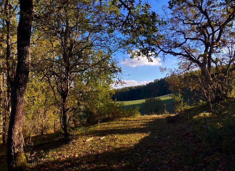 Propriété - 100 m² - 5 pièces