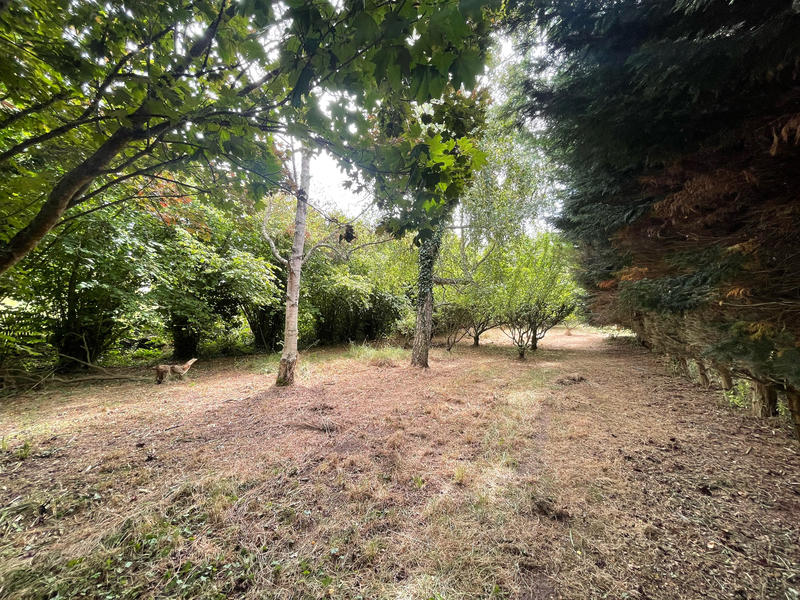 Maison ancienne - 160 m² - 8 pièces