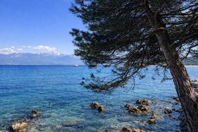 Appartement - 30 m² - 1 pièce