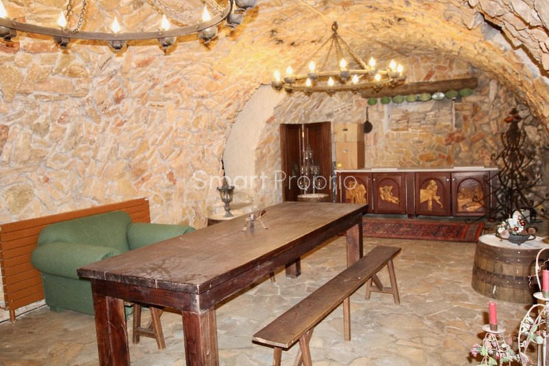 Propriété - 450 m² - 19 pièces