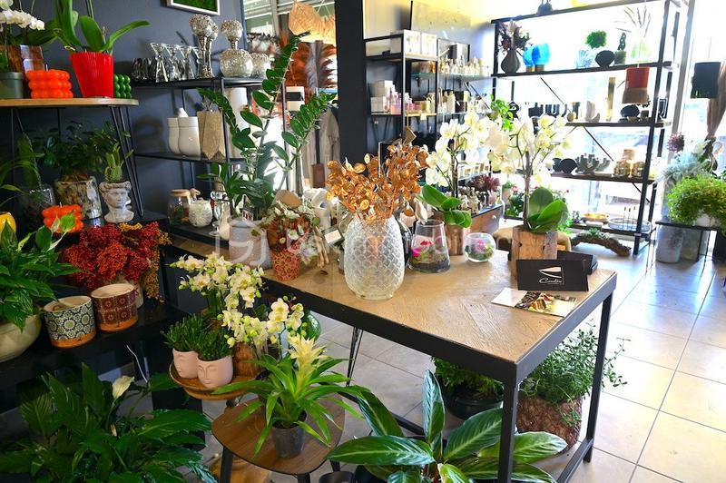 Local commercial - 71 m² - 2 pièces