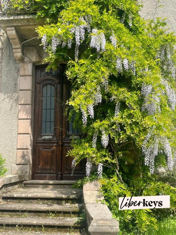 Maison bourgeoise - 650 m² - 11 pièces