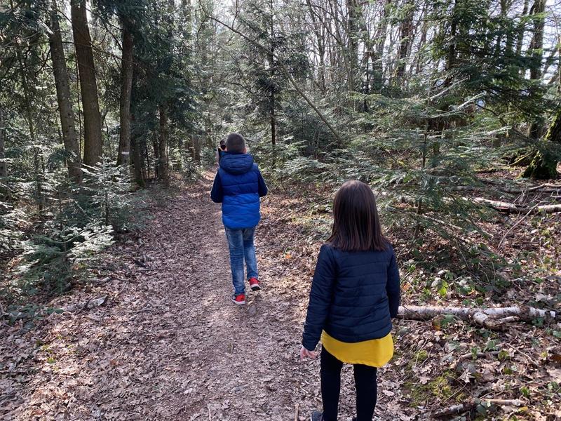 Atelier : immersion au cœur de la forêt de Thann