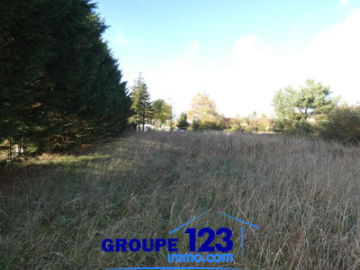 Terrain - 1 339 m²