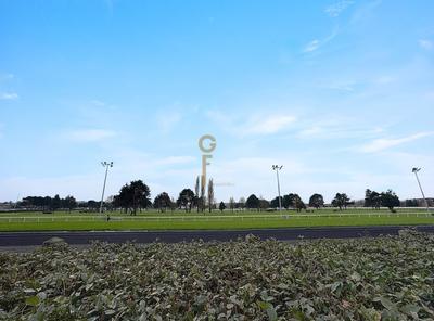 Appartement - 133 m² - 4 pièces