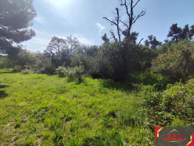 Terrain agricole - 7 855 m²