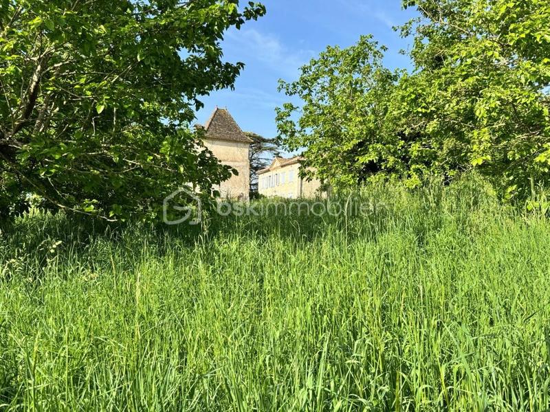 Maison en pierre - 250 m² - 8 pièces