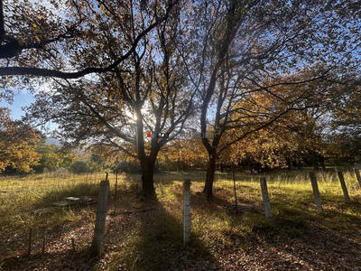 Terrain agricole - 7 580 m²