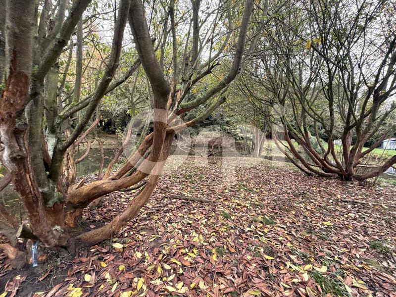 Terrain de loisirs - 11 000 m²