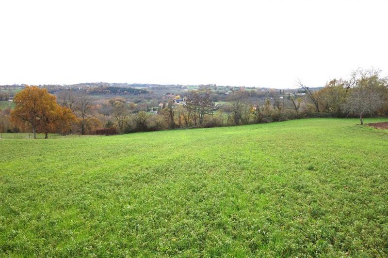Terrain - 13 556 m²