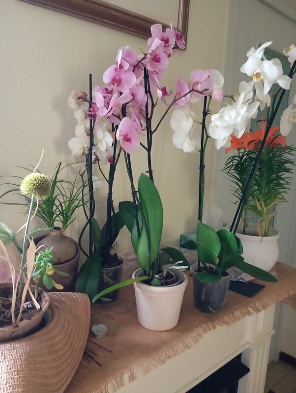 Vide maison - dressing