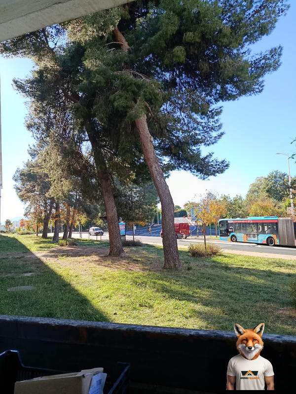 Appartement - 34 m² - 1 pièce