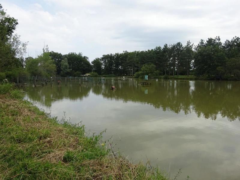 Propriété - 110 m² - 7 pièces