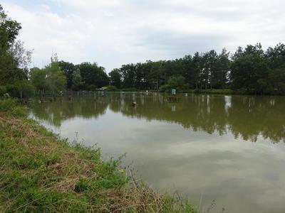 Propriété - 110 m² - 7 pièces