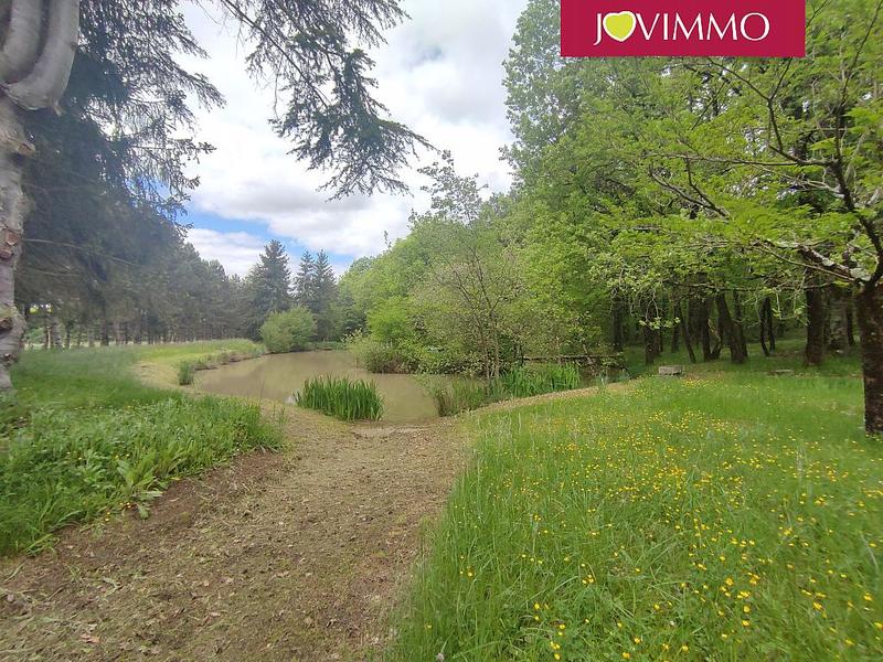 Terrain - 100 000 m²