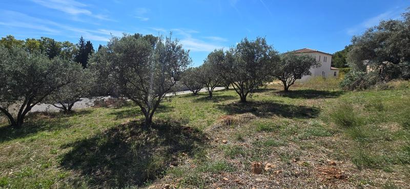 Terrain constructible - 764 m²