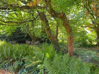 Maison - 245 m² - 9 pièces