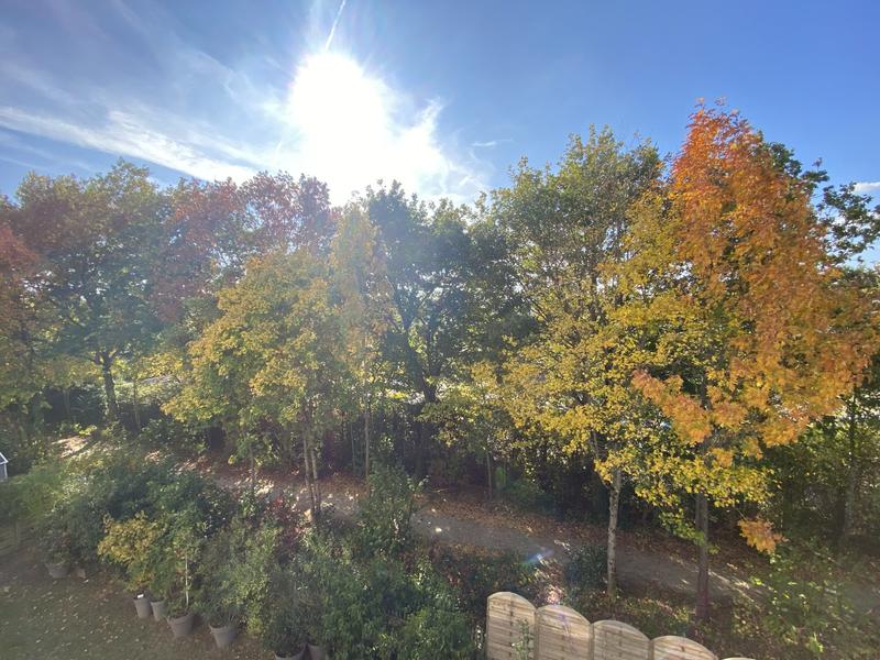 Appartement - 65 m² - 4 pièces