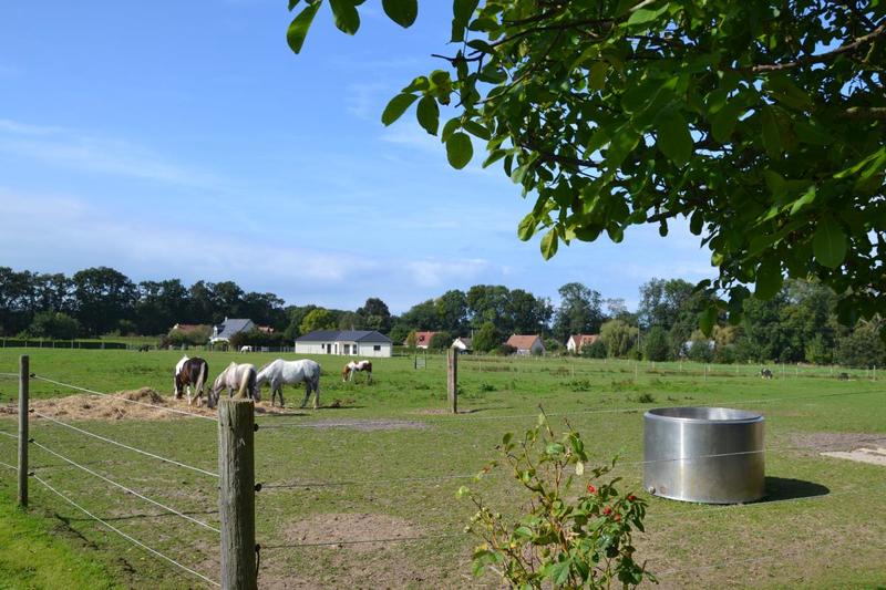 Maison de domaine équestre - 85 m²