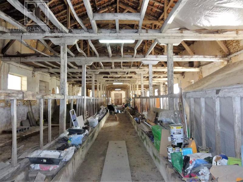 Propriété - 300 m² - 10 pièces