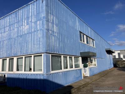 Local d'activité / Entrepôt - 600 m²