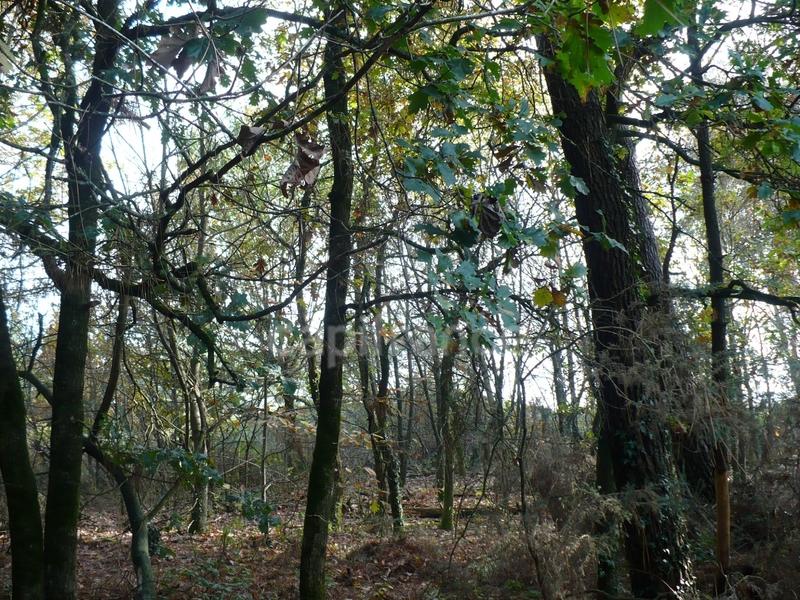 Terrain - 14 360 m²