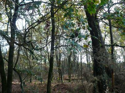 Terrain - 14 360 m²