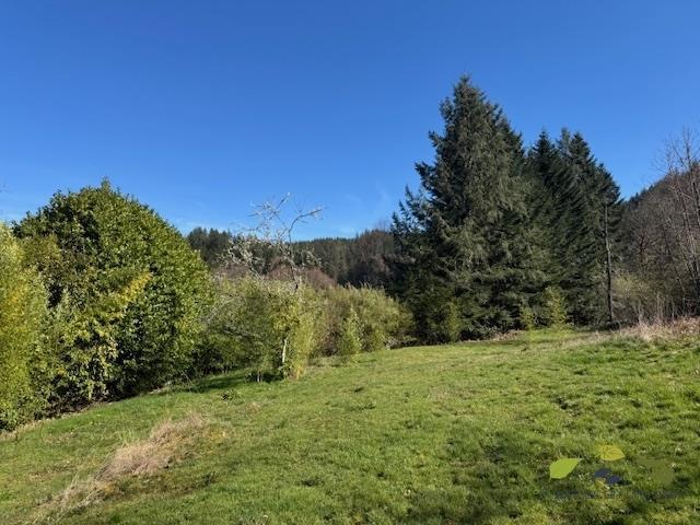 Propriété - 108 m² - 6 pièces