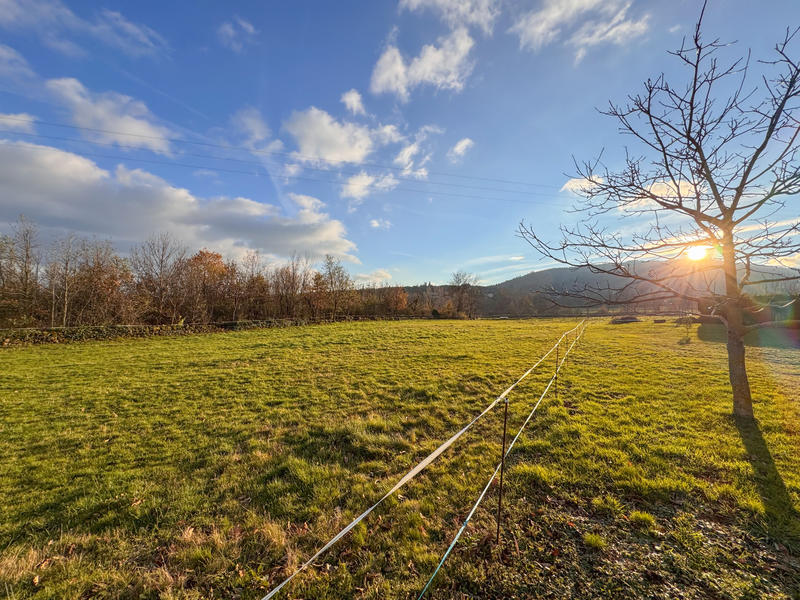 Maison - 116 m² - 5 pièces