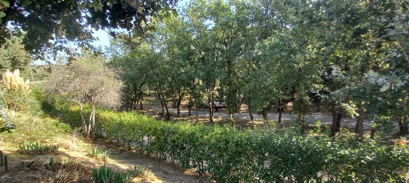 Villa - 220 m² - 8 pièces