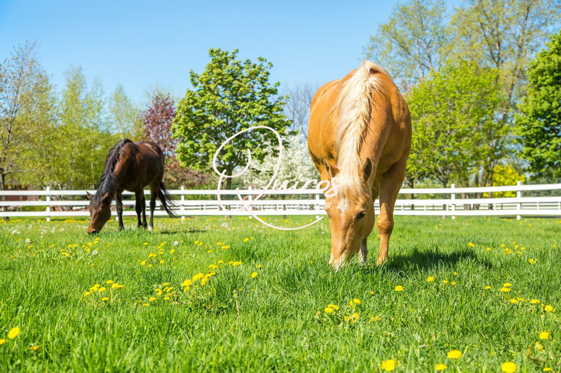 Maison - 100 m² - 3 pièces