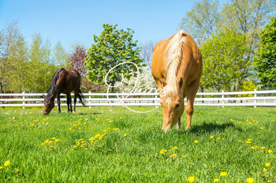 Maison - 100 m² - 3 pièces