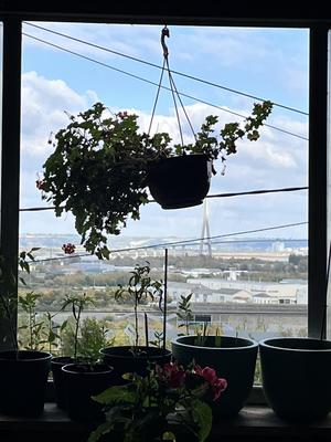 Maison - 127 m² - 6 pièces