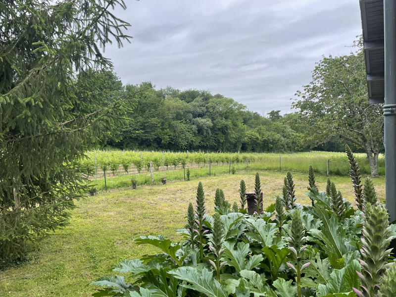 Maison - 94 m² - 4 pièces