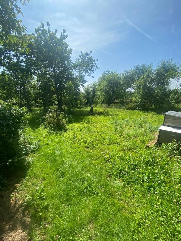 Maison - 157 m² - 6 pièces