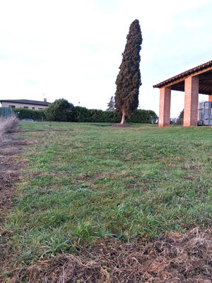 Terrain - 1 180 m²