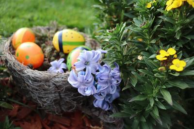 Chasse aux oeufs - rallye photo