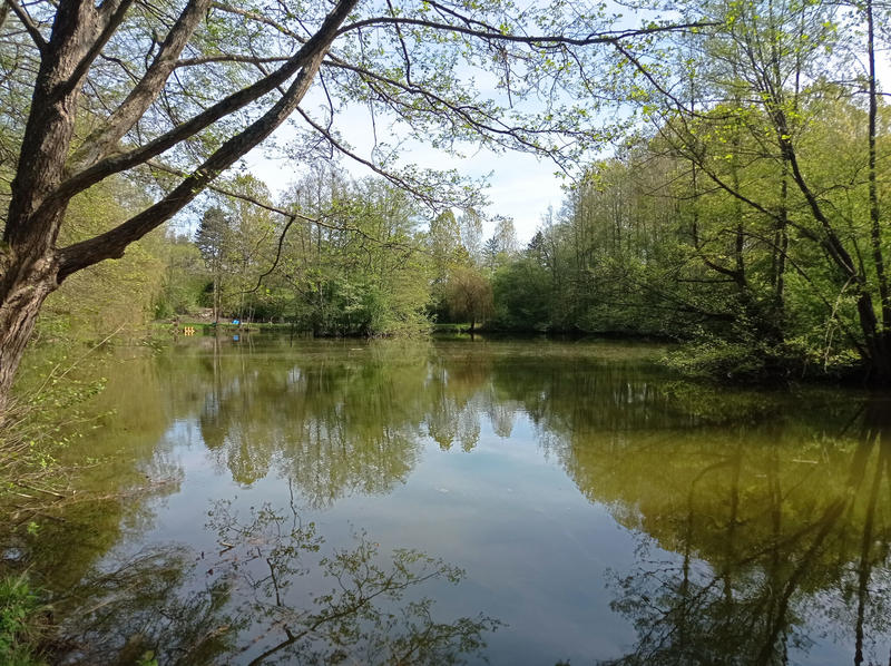 Châlet - 40 m² - 4 pièces