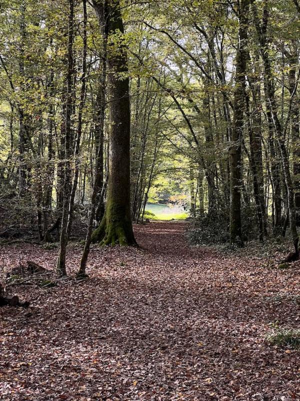 Maison de maîtres - 425 m² - 12 pièces