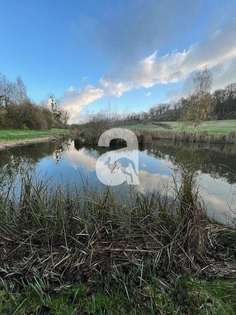 Terrain de loisirs - 4 249 m²