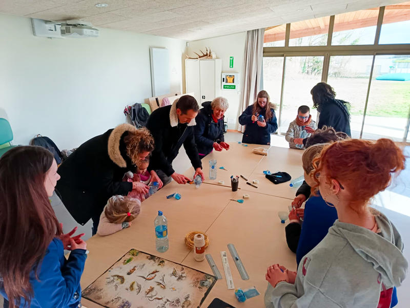 Rendez-vous créatif "Incroyables petites bêtes "